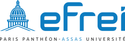 Efrei logo
